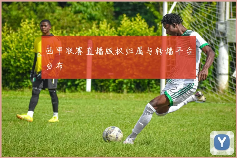 西甲联赛直播版权归属与转播平台分布
